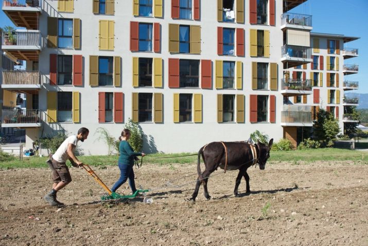 Alimenter un quartier en circuits courts