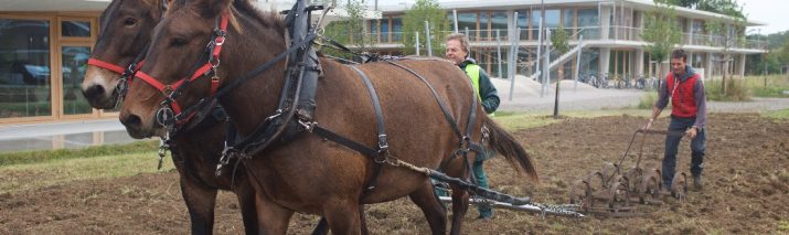 Labours aux Vergers